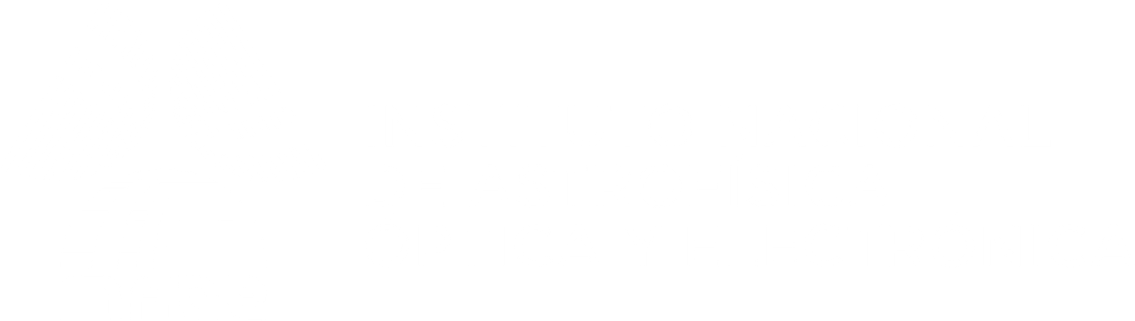 Logo_INAOE-scaled.png